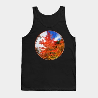 Autumn trees, Indian Summer, Fall - Canada Tank Top